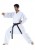 KARATEGI TOKAIDO TSUNAMI SILVER 12 OZ