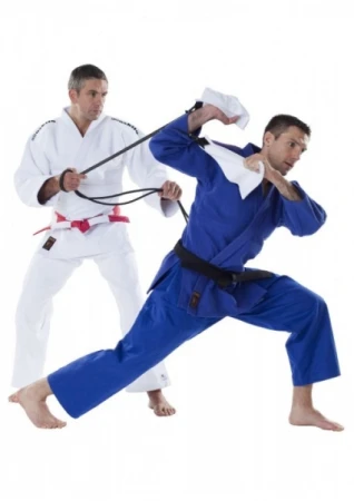 PRZYRZĄD DO ĆWICZEŃ UCHWYTU - JUDO UCHI KOMI TRIANGLE MOSKITO