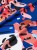 MANTO RASHGUARD GYM 3.0