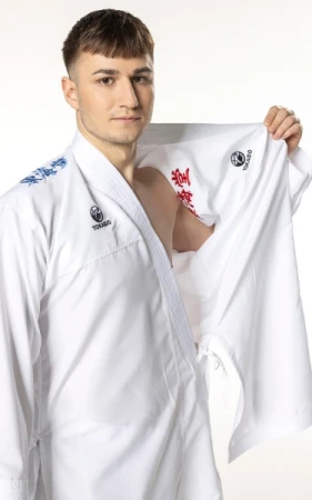 KARATEGI TOKAIDO KUMITE MASTER K1 (WKF)