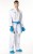 KARATEGI TOKAIDO KUMITE MASTER K1 (WKF)