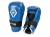 kwon-handschuetzer-anatomic-blau-4014101_2_1920x1920.jpg