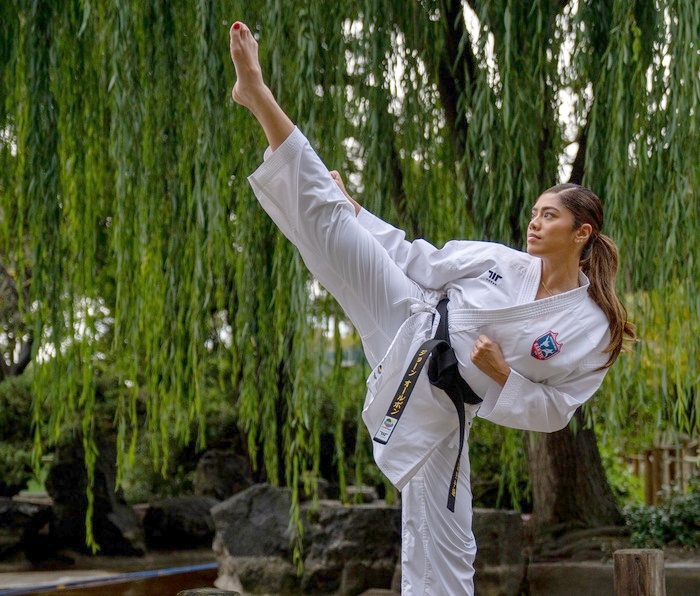 Karate  Shotokan,  Kyokushin